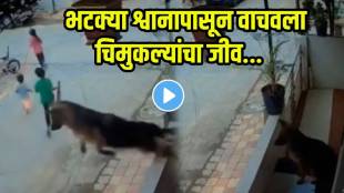viral video German Shepherd protects children
