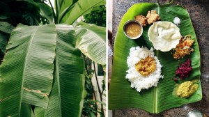 Healthy Living: जाणून घ्या केळीच्या पानावर जेवण्याचे आरोग्यदायी फायदे