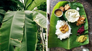Health Benefits Of Eating Food On Banana Leaf