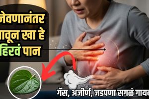 Natural stomach care