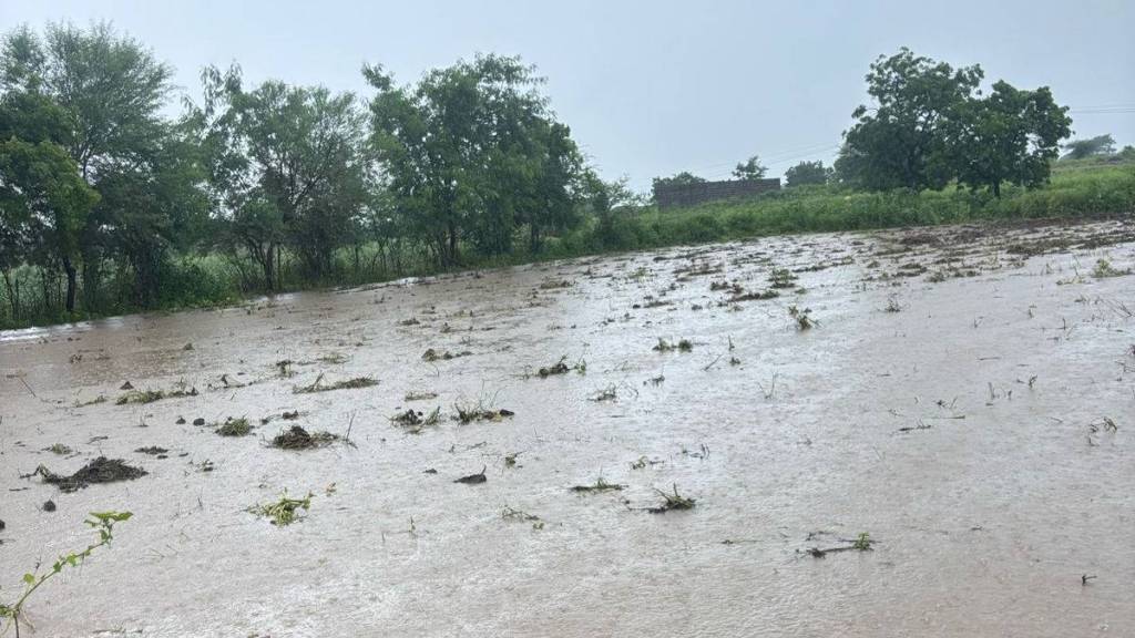 Heavy rains hit Marathwada again