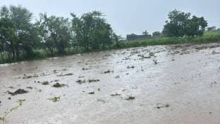 Heavy rains hit Marathwada again