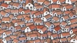 Hidden Cat Optical illusion