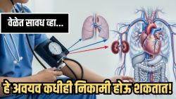 सायलेंट किलर ‘हाय ब्लडप्रेशर’ शरीरातील ‘या’ ५ अवयवांवर गुपचूप करतो हल्ला; स्वतःचे संरक्षण कसे कराल? जाणून घ्या नुकसान होण्याआधी…
