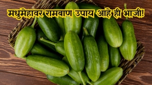Ivy gourd this vegetable is a Good for diabetes