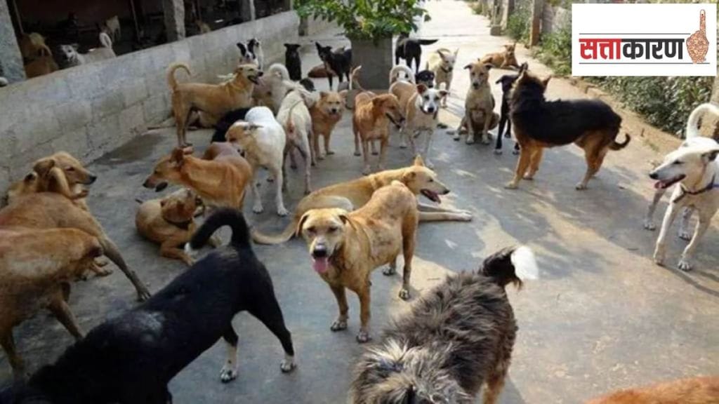 Killed 2800 dogs mla karnataka