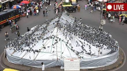 Kabootar Khana Dadar