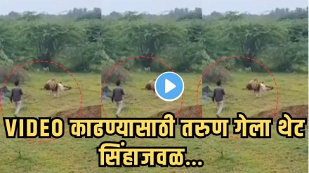 Dangerous wildlife selfie