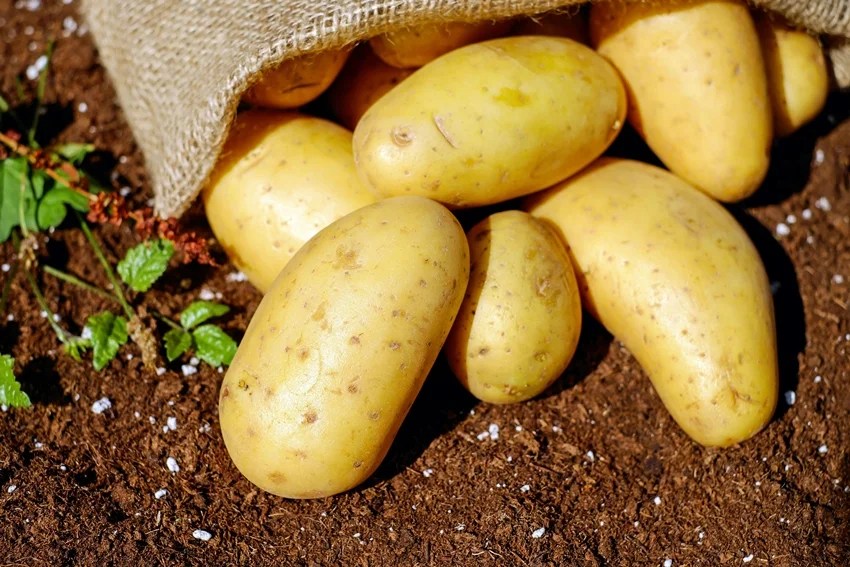 add these lithium rich foods to your diet for better brain health