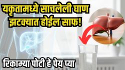 लिव्हरमध्ये साचलेली घाण मुळासकट निघेल! फक्त सकाळी रिकाम्या पोटी ‘हे’ १ ग्लास पेय प्या आणि बघा चमत्कार, शरीराचा प्रत्येक भाग होईल साफ