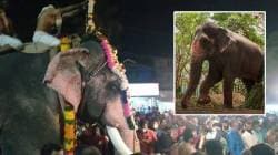 Mahadevi Elephant : “महादेवी हत्तिणीला जबरदस्तीने गुजरातला नेण्यात आलं आहे का?” ठाकरे सेनेचा सवाल, “अशीच भूतदया..”