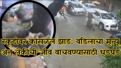 Video : लेकीच्या डोळ्यादेखत वडिलांचा मृत्यू अन् जीव वाचवण्यासाठी धडपड; दिल्लीतील पावसाचा थरार! स्कूटीवर कोसळलं झाड