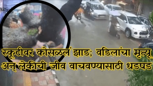Man Killed Daughter Injured As Tree Falls On Bike In Rain-Hit Delhi