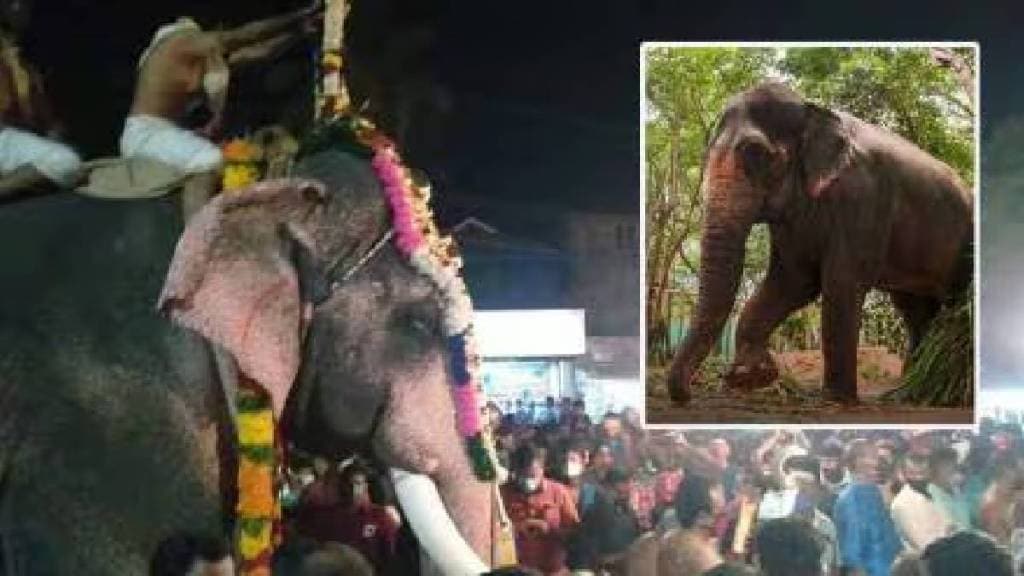 Marches in Radhanagari Gadhinglaj Dattawad for Mahadevi elephant