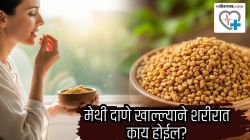 तुम्ही सलग २ आठवडे मेथीचे दाणे खाल्ले, तर तुमच्या शरीरावर काय परिणाम होईल? घ्या जाणून डॉक्टरांकडून…