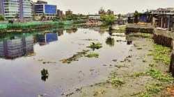 यातना यादी: मिठी नदीत दुर्गंधीयुक्त पाणी… डासांचा प्रादुर्भाव…