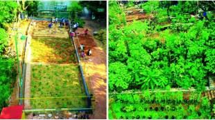 Miyawaki Forest to be created in Mulshi Dam area will be created quickly thanks to this unique method from Japan pune print news