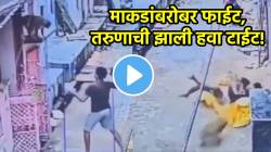 माकडांबरोबर फाईट, तरुणाची केली हवा टाईट! तोंडावर ओरबाडत खाली पा़डलं अन्…; VIDEO पाहून पोट धरून हसाल
