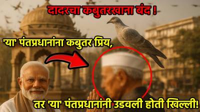 नरेंद्र मोदी, पंडित नेहरू आणि कबुतर; दोन पंतप्रधान- दोन दृष्टिकोन, असे का?