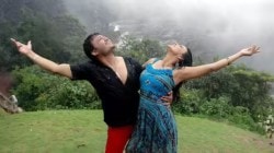 ७० लाखांचे बजेट कमावलेले ७५ कोटी! ४६० दिवस बॉक्स ऑफिस गाजवणारा ‘हा’ चित्रपट तुम्ही पाहिलाय का?
