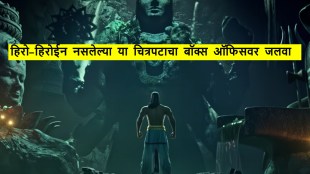 Narsimha budget box office collection review(1)