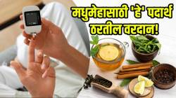 डायबेटीस वाढल्यानंतर औषध घेण्यापेक्षा करा ‘हे’ सोपे उपाय; चांगल्या सवयींसह नैसर्गिकरीत्या मधुमेह राहील नियंत्रणात