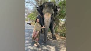 Kolhapurs heritage includes elephant traditions at mahalaxmi temple jotiba temple palace and monastery