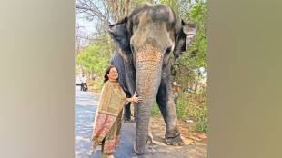 Mahadevi elephant return, Nandani Math elephant issue, Kolhapur political unrest, Maharashtra elephant protests, western Maharashtra politics, elephant rights campaign, political protests Kolhapur,