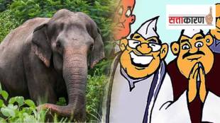 Mahadevi elephant kolhapur