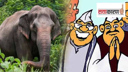 Mahadevi elephant kolhapur