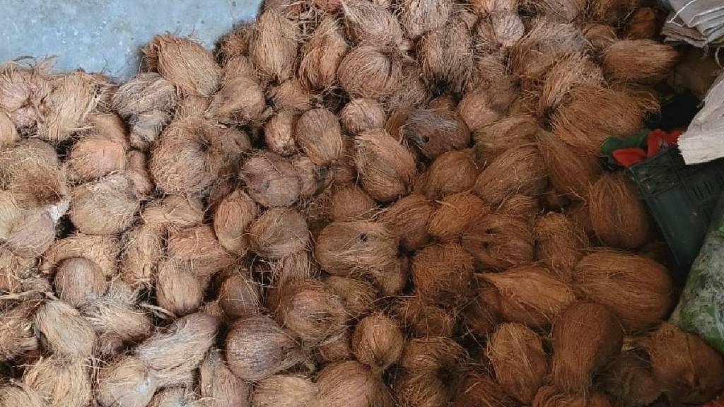 festive season hikes coconut prices to rs 50 to 60 straining budgets as demand increases