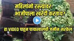 आता काय जीवच घेणार का? महिलांनो रस्त्यावर भाजीपाला खरेदी करताय? थांबा; हा VIDEO पाहून पायाखालची जमीन सरकेल