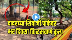“अरे जरा तरी लाज ठेवा” दादरच्या शिवाजी पार्कवर भर दिवसा किळसवाणं कृत्य; VIDEO पाहून तुम्हालाही येईल प्रचंड राग