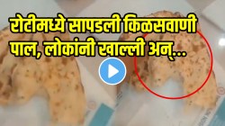 बापरे लोकांच्या जीवाशी खेळ; प्रसिद्ध हॉटेलच्या रोटीमध्ये सापडली किळसवाणी पाल, लोकांनी खाल्ली अन्…VIDEO पाहून धक्का बसेल