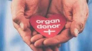 despite progress in Maharashtra organ shortage for transplants remains a serious and growing concern