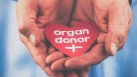 despite progress in Maharashtra organ shortage for transplants remains a serious and growing concern
