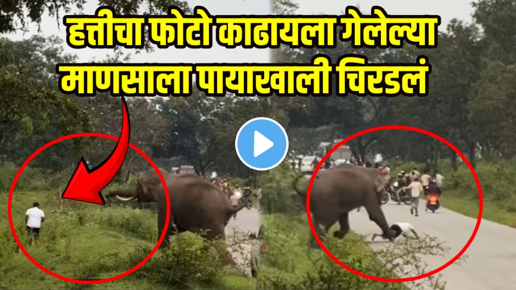 Elephant Crushed man video viral