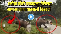 बापरे! हत्तीचा फोटो काढायला गेला अन् तेवढ्यात फ्लॅश सुरु झाली, हत्तीनं अक्षरश: पायाखाली चिरडलं; धक्कादायक VIDEO व्हायरल