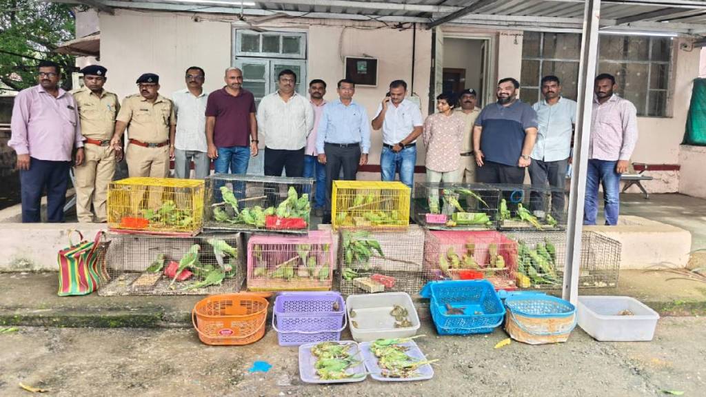 animals seized from crawford market mumbai