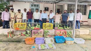 animals seized from crawford market mumbai