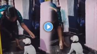 mama love's dog beautiful