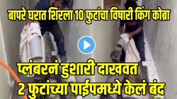 बापरे! घरात शिरला १० फुटांचा विषारी किंग कोब्रा; प्लंबरनं पाईपमध्ये टाकण्याचा प्रयत्न केला अन्…थरारक VIDEO पाहून घाम फुटेल