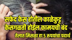 कमी वयात केस पांढरे झाले आहेत? तेलात मिसळा हा ५ रूपयांचा पदार्थ; सफेद केस होतील काळेकुट्ट व केसगळती होईल कामयची बंद
