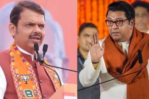 Devendra Fadnavis On Raj Thackeray