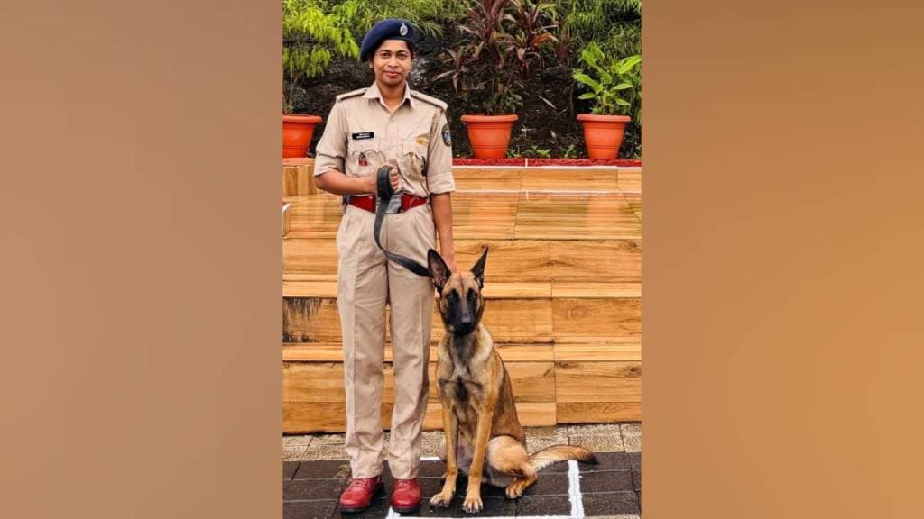 Belgian Shepherd dog squad ready to serve in sahyadri tiger reserve for protection of their dog handlers from today august 15 2025