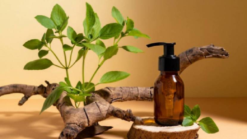 tea tree oil for dandruff