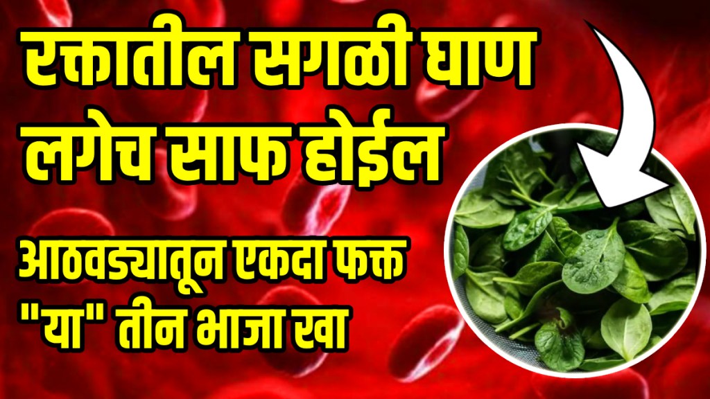foods diet for blood filter ayurvedic physician tanmay goswami tips foods diet for blood filter home remedies for blood purify