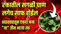 रक्तातील सगळी घाण लगेच साफ होईल; आठवड्यातून एकदा फक्त “या” तीन भाजा खा, आयुष्यभर निरोगी राहा