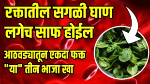 foods diet for blood filter ayurvedic physician tanmay goswami tips foods diet for blood filter home remedies for blood purify