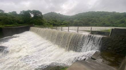 rains Palghar satisfactory rainfall dams supplying water to Vasai and Virar cities and some dams started overflowing